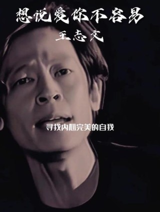 想说爱你不容易