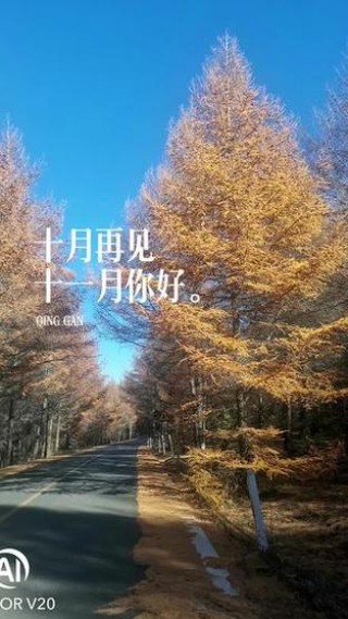 再见，冬天