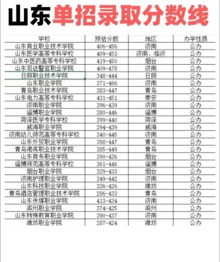 山东考生多少分能上陕西电子信息职业技术学院2026（附2022-2025录取分数线）