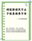 念亲恩：树高千尺莫忘根，儿女莫忘父母恩