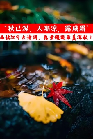 人间最美是清秋，在古诗词里，遇见最美的秋天
