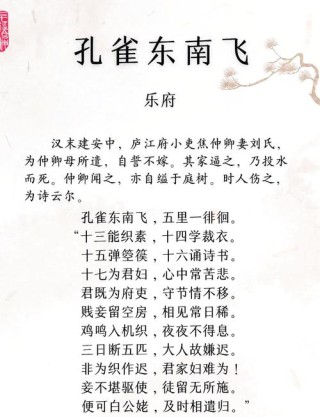 散文 | 放生鸟雀积善福（每小平）