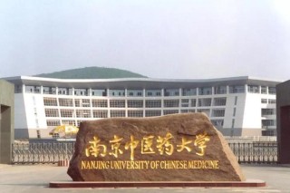 南京中医药大学翰林学院是985,211高校吗