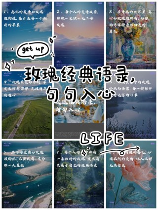 关于「玫瑰」的永不落俗的高级文案短句