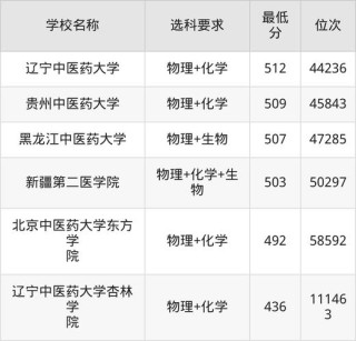 重庆中西医临床医学专业大学排名及分数线（哪个学校好）
