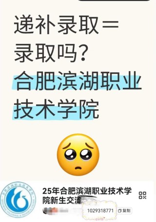 2025民办合肥滨湖职业技术学院录取分数线是多少「在各省录取最低分」