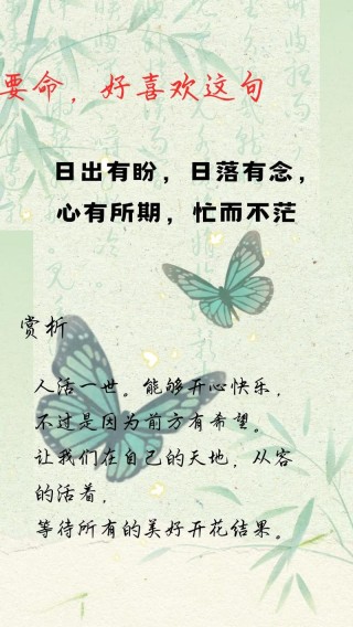 世间的期待有千万种，最美好的那种叫明日可期