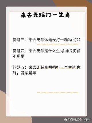 瘦高个，三只眼，工作只睁一只眼，不看容易出危险。 （打一常见物）