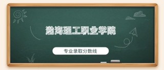 2025渤海理工职业学院录取分数线公布（附2024投档线对比）