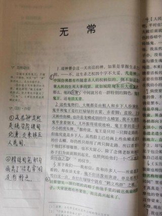 《朝花夕拾》之《无常》好句摘抄及赏析