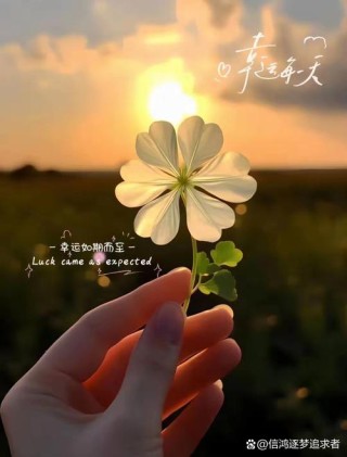 人生最美的风景，是内心的淡定与从容