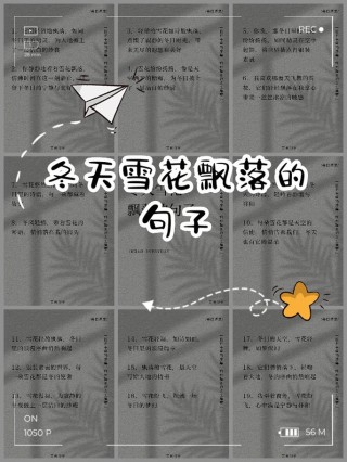 飘雪的日子，聆听雪落无声花开绽放的时光【散文】