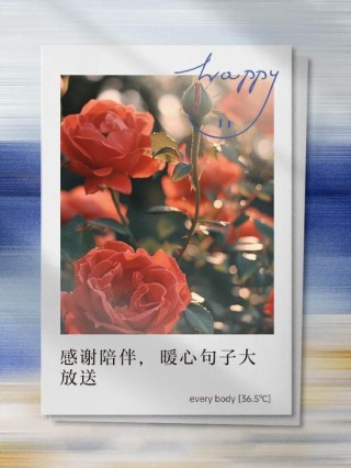 感谢有你的陪伴，细水长流中的爱情真谛