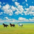 骏马奔驰去仙山 （打一字）