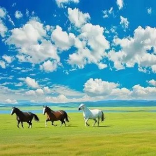 骏马奔驰去仙山 （打一字）
