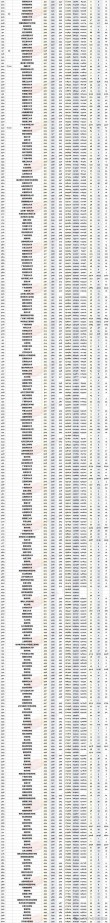 广东高考排名304000-305000位次能上什么大学（2026物理类）