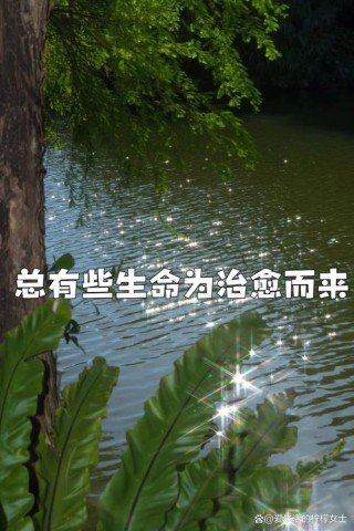 感悟生命
