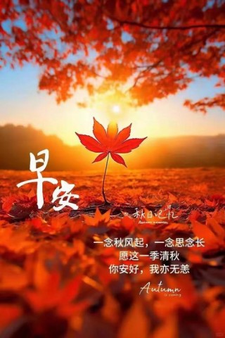 秋天你好，金秋安康，十月深秋暖心祝福语，秋天清晨微信问候语