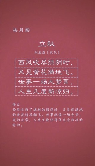 秋天落花的唯美句子：秋风吹落花，舞动心弦