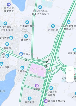 武汉地铁8号线二期什么时候开通(武汉地铁8号线盘龙城规划有哪些站)