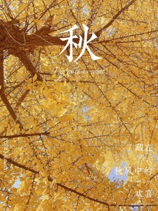 最是太清金黄时，落得人間一身秋