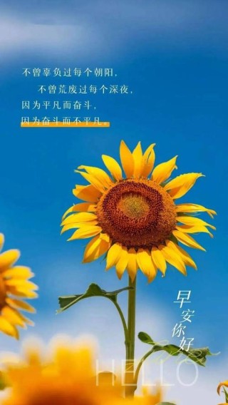 适合发朋友圈正能量短句，正能量短句，点亮朋友圈的每一刻！