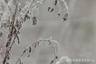 冬的脚步近了