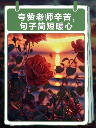 让班主任看了感动的话，班主任，您的教诲如春风，温暖我心田。