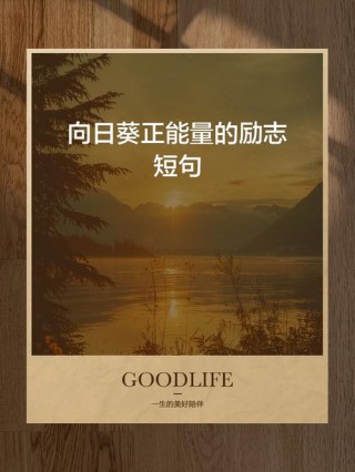 朋友圈温柔而强大的句子，向下扎根，向上努力，向阳而生