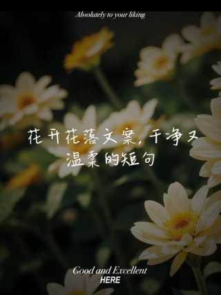 花开有时寂寞