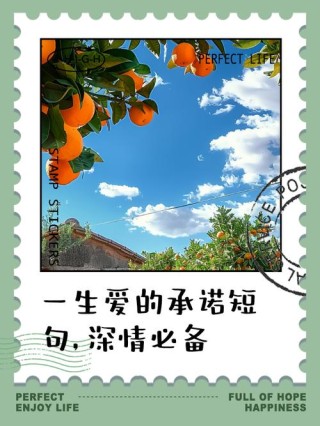 一生的承诺，谢谢你，陪我走过了这一生的思念