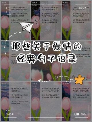 暖心甜蜜的爱情说说，句句写到心坎上，你中意哪一句话