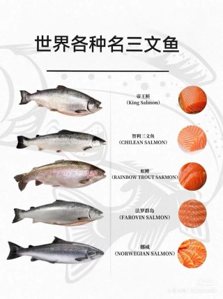 区别