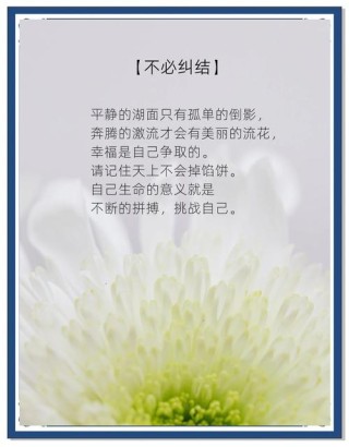 简短的人生哲理句子，简短人生哲理，生活的智慧与启示