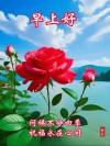 早上好早安祝福美图/岁月静好，愿你心有所安
