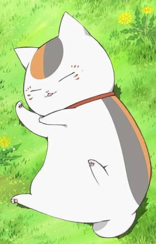 猫咪老师：食物再好吃，也没有夏目重要，真的是心里话哦
