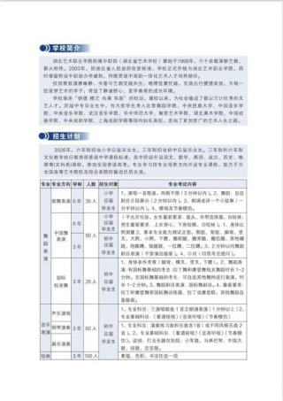 广西艺术学院在湖北各专业2026招生人数、录取分数线（附：招生计划表）