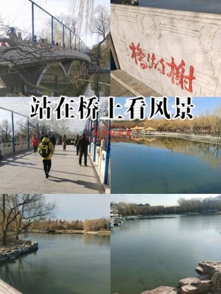我在桥上看风景，看风景的在桥上看你，人间有桥，愿生命有你