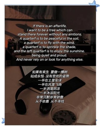 三毛经典语录，三毛经典语录，人生如梦，珍惜每一刻的相遇与离别。