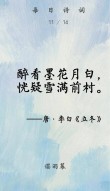 浅冬如愿，飞雪眉间，愿一场雪温润往事，一夜梦落指缱绻