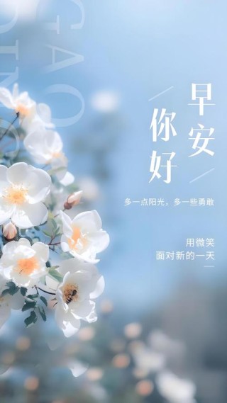 文艺精致的早安心语，看一眼就念念不忘！