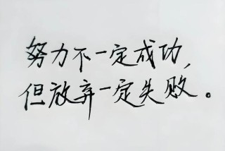 人生起起落落，再坚持一下，再努力一下
