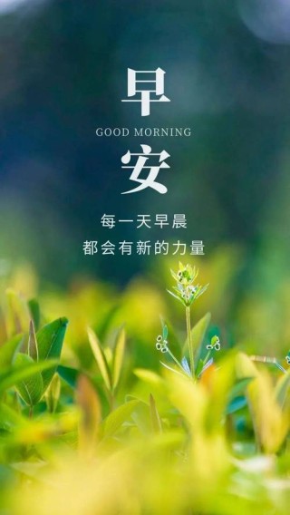 早安正能量优秀语录句子，简短励志，值得一看