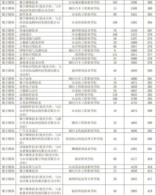 湖南数字媒体技术专业大专院校排名及分数线（一览表）