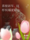 恭喜提新车的吉言：辞旧迎新，喜迎新车！