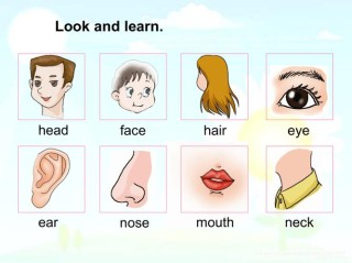 “You have a big nose”不是说你“大鼻子”，意思差远了！