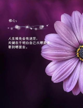 微信经典唯美的句子，适合长期不发朋友圈的你！