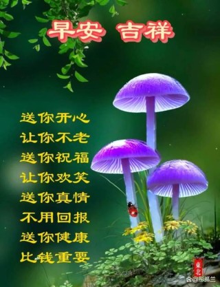 6月13日 愿我身边的亲人和朋友平安一生，健康一世，快乐一辈子
