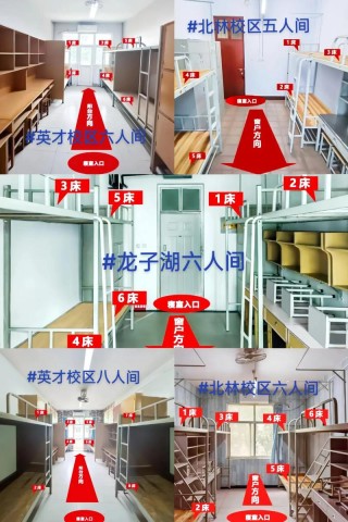 河南牧业经济学院在河南各专业2026招生人数、录取分数线（附：招生计划表）