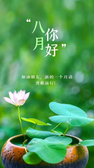 八月你好婊与说说八月你好的是婊婊